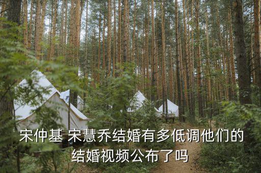 宋仲基宋慧喬婚期,宋慧喬宋仲基何時結婚?