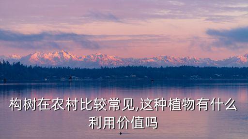 構樹在農村比較常見,這種植物有什么利用價值嗎