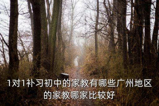 1對1補習初中的家教有哪些廣州地區(qū)的家教哪家比較好