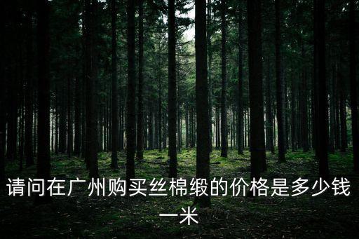 請問在廣州購買絲棉緞的價格是多少錢一米