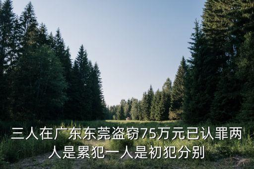三人在廣東東莞盜竊75萬元已認(rèn)罪兩人是累犯一人是初犯分別