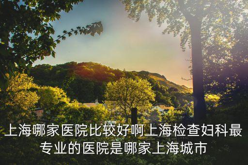 上海哪家醫(yī)院比較好啊上海檢查婦科最專業(yè)的醫(yī)院是哪家上海城市