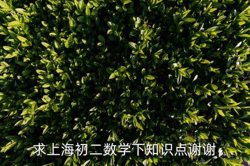 求上海初二數(shù)學(xué)下知識(shí)點(diǎn)謝謝