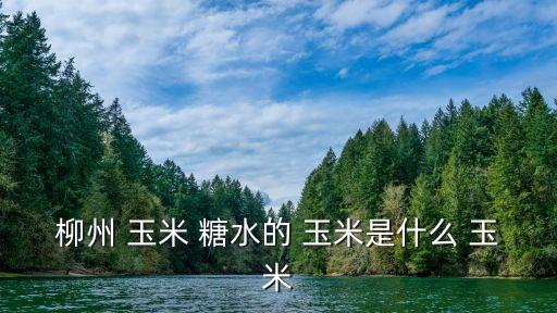 玉米糖水,玉米一斤加水煮沸如做菜一樣!