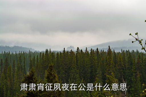 肅肅蕭征,肅肅宵征,夙夜在公形容什么意思?