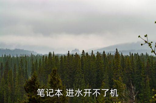 筆記本 進水開不了機