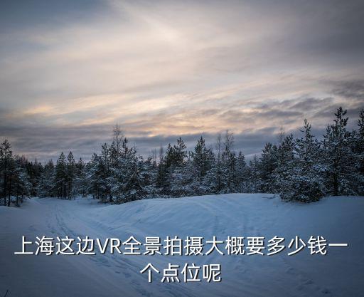 上海市全景VR，上海有哪些VR公司的呢