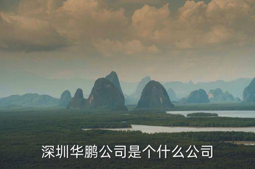 深圳華鵬廣告有限公司，哪家公司代理深圳公交車電視廣告