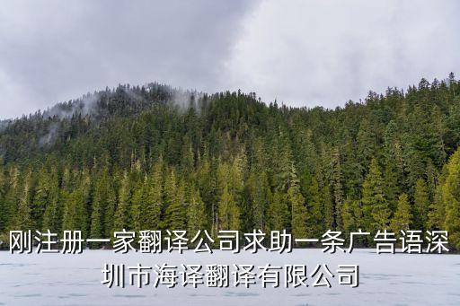 林詩美 深圳市海洋產業協會，深圳靈獅創始人