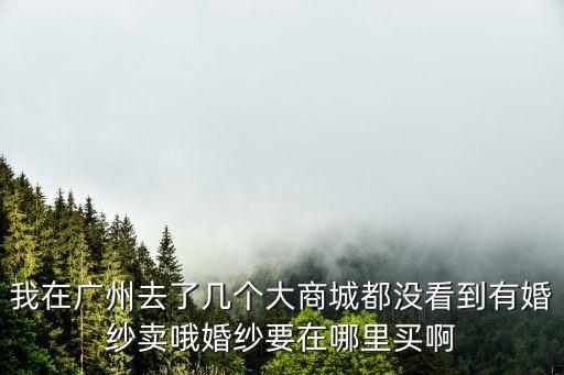 我在廣州去了幾個大商城都沒看到有婚紗賣哦婚紗要在哪里買啊
