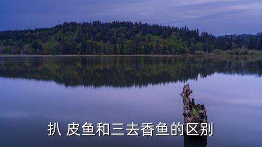 扒皮魚是什么魚,海底撈扒皮魚是什么魚