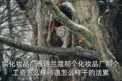 深圳雅詩蘭黛工作，深圳哪里有雅詩蘭黛專柜