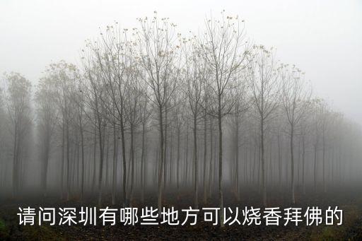 請(qǐng)問(wèn)深圳有哪些地方可以燒香拜佛的