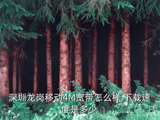 深圳龍崗移動寬帶，深圳龍崗移動4M寬帶怎么樣 下載速度是多少