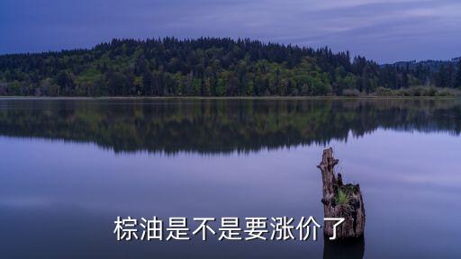 棕油是不是要漲價了
