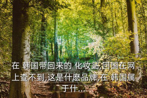 在 韓國帶回來的 化妝品,回國在網上查不到,這是什麼品牌,在 韓國屬于什...