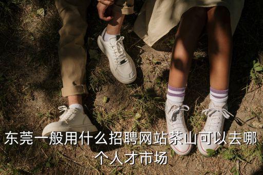 東莞一般用什么招聘網站茶山可以去哪個人才市場