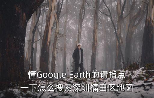 懂Google Earth的請指點一下怎么搜索深圳福田區(qū)地圖
