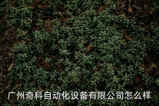 廣州奇科自動化設(shè)備有限公司怎么樣