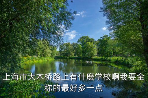 上海市大木橋路上有什麼學(xué)校啊我要全稱的最好多一點(diǎn)