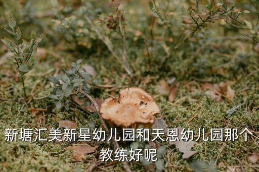 新塘匯美新星幼兒園和天恩幼兒園那個教練好呢