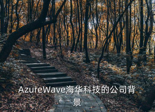 AzureWave海華科技的公司背景