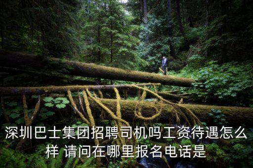 深圳首汽約車司機招聘，深圳巴士集團招聘司機嗎工資待遇怎么樣 請問在哪里報名電話是