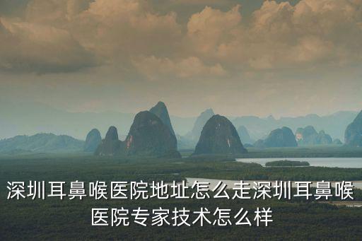 深圳耳鼻喉醫(yī)院地址怎么走深圳耳鼻喉醫(yī)院專家技術(shù)怎么樣