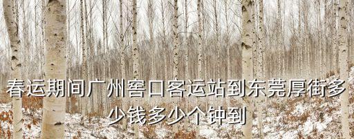 春運期間廣州窖口客運站到東莞厚街多少錢多少個鐘到