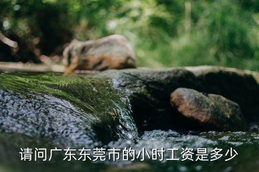 請問廣東東莞市的小時工資是多少