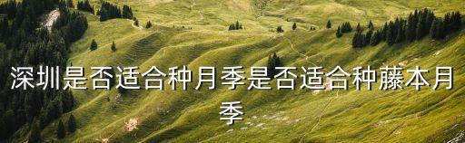 深圳 種植 薔薇，掛號求診 薔薇這是養護不好還是黑斑病呢