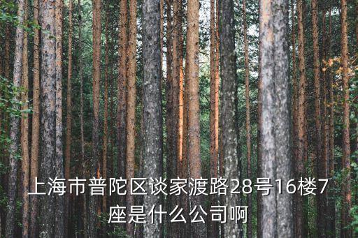 上海市普陀區談家渡路28號16樓7座是什么公司啊