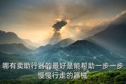 哪有賣助行器的最好是能幫助一步一步慢慢行走的器械