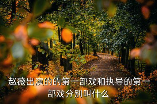 趙薇電影,趙薇和陳坤合作過(guò)哪些電影?