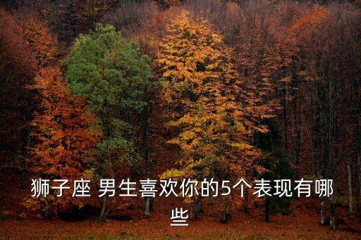 獅子座男生喜歡一個人的表現,內向的獅子座男生喜歡一個人的表現