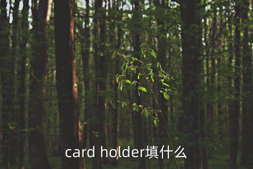 東莞手推金屬名片盒，card holder填什么