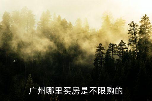 廣州哪里買房是不限購的