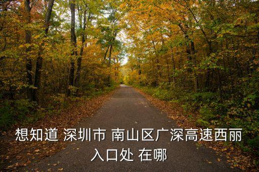 想知道 深圳市 南山區廣深高速西麗入口處 在哪