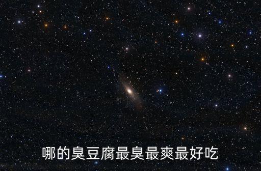 哪的臭豆腐最臭最爽最好吃