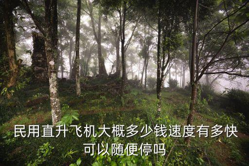  民用直升飛機大概多少錢速度有多快可以隨便停嗎