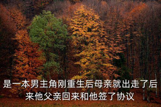 蕭了 深圳日子 小說，是一本男主角剛重生后母親就出走了后來他父親回來和他簽了協議