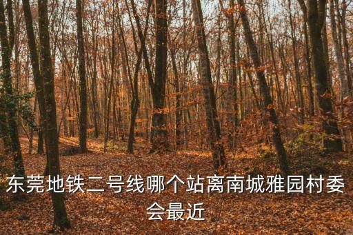 東莞地鐵二號線哪個站離南城雅園村委會最近