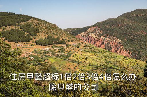 住房甲醛超標(biāo)1倍2倍3倍4倍怎么辦除甲醛的公司