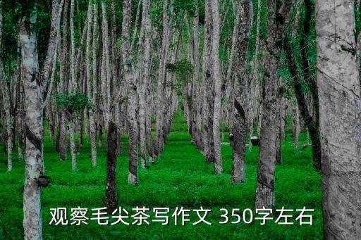 觀察日記350字,蠶寶寶觀察日記350字