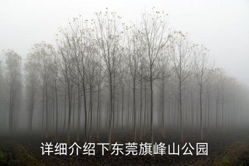 東莞旗峰山交通管制，詳細(xì)介紹下東莞旗峰山公園