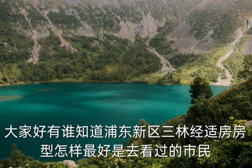 大家好有誰知道浦東新區(qū)三林經(jīng)適房房型怎樣最好是去看過的市民