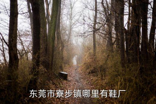 東莞市寮步鎮(zhèn)哪里有鞋廠