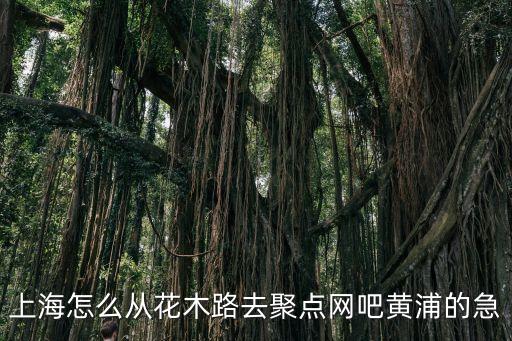 上海怎么從花木路去聚點(diǎn)網(wǎng)吧黃浦的急