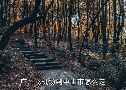 廣州飛機場到中山市怎么走