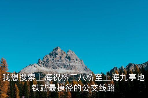 上海市祝橋鎮三八村，我想搜索上海祝橋三八橋至上海九亭地鐵站最捷徑的公交線路